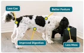 Fluff Trough Feeder Dr Freeze Foods and Snacks