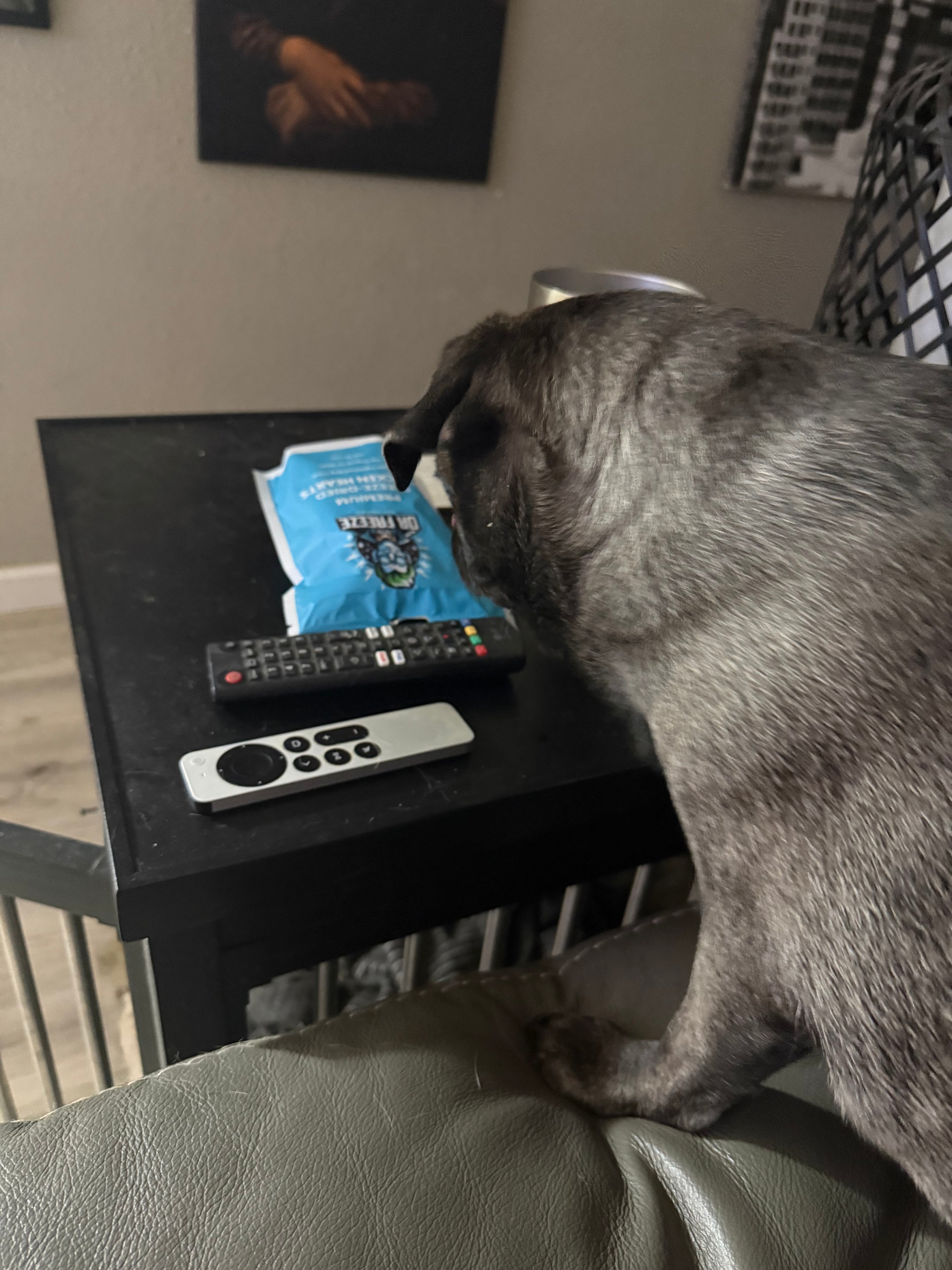 Freeze Dried Chicken Hearts Dr Freeze Foods and Snacks