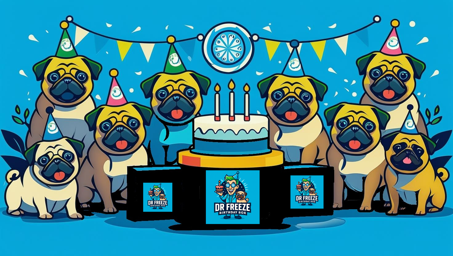 DR Freeze Birthday PUP Box Dr Freeze Foods and Snacks