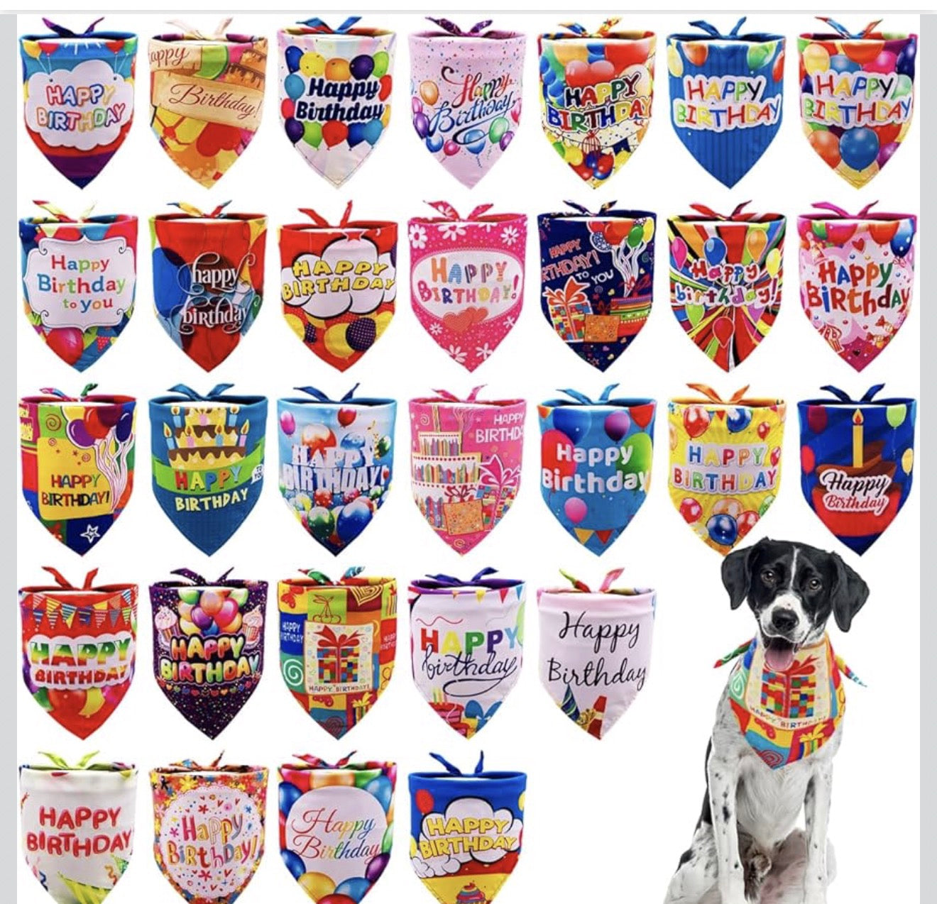 DR Freeze Birthday PUP Box Dr Freeze Foods and Snacks