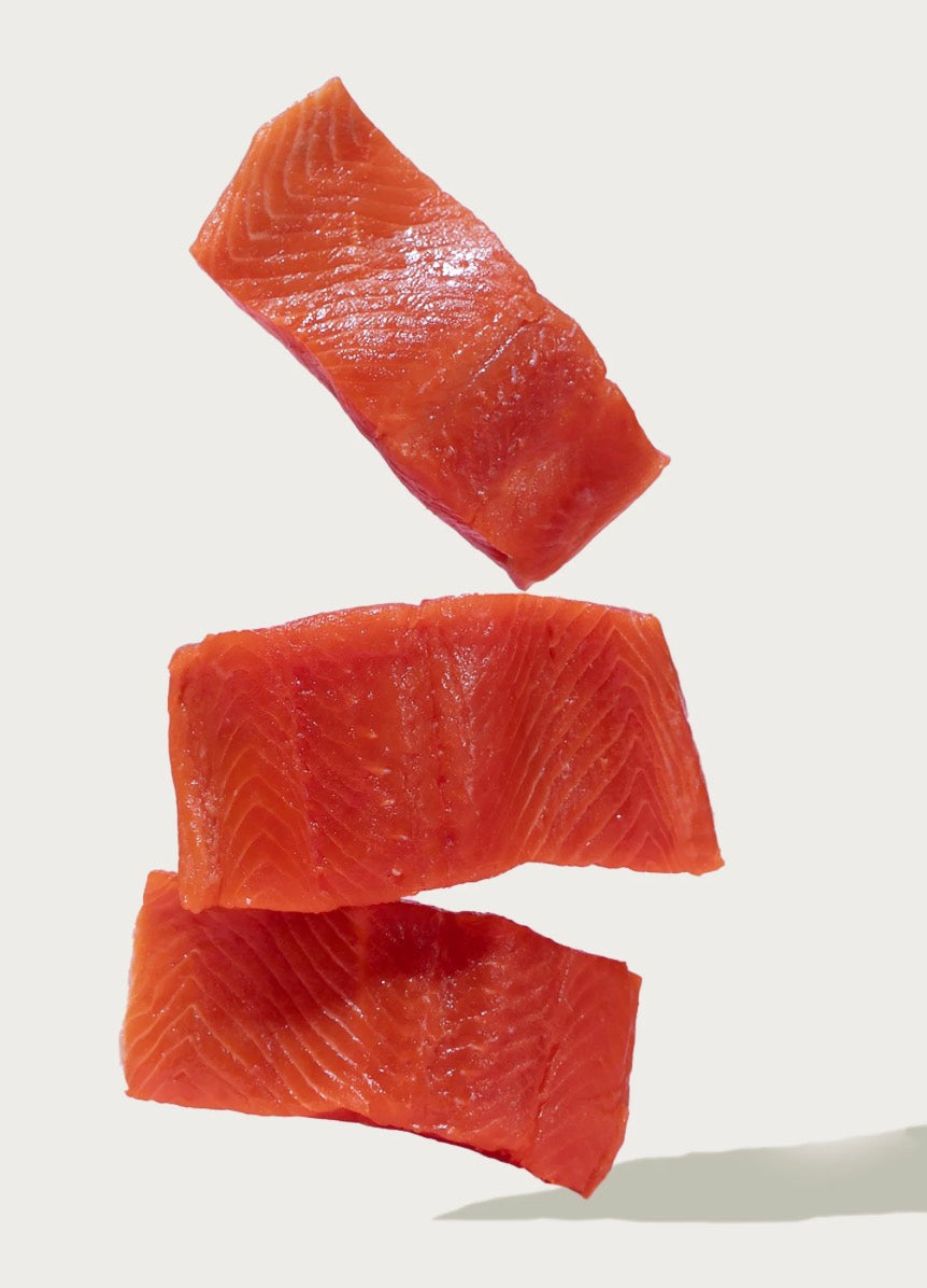 Salmon Sprinkles Food Topper Flavor Enhancer Dr Freeze Foods and Snacks