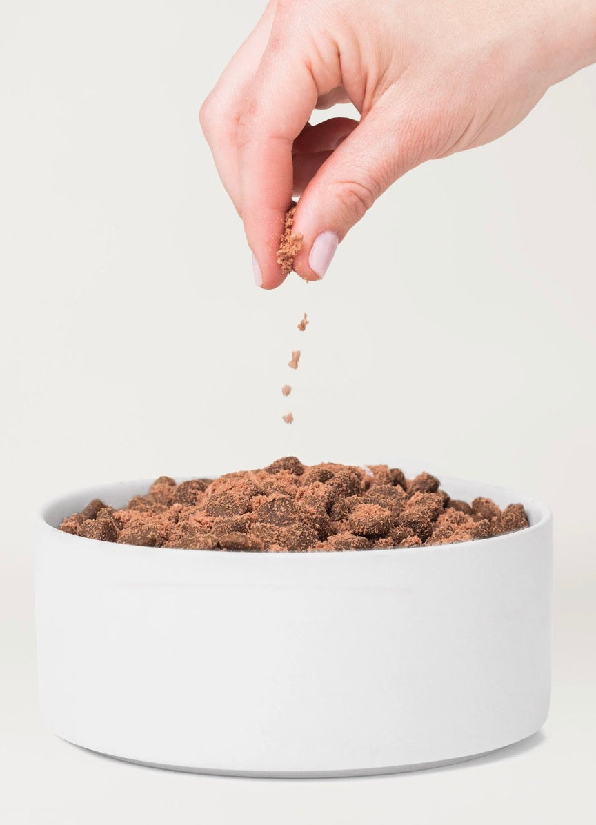 Salmon Sprinkles Food Topper Flavor Enhancer Dr Freeze Foods and Snacks