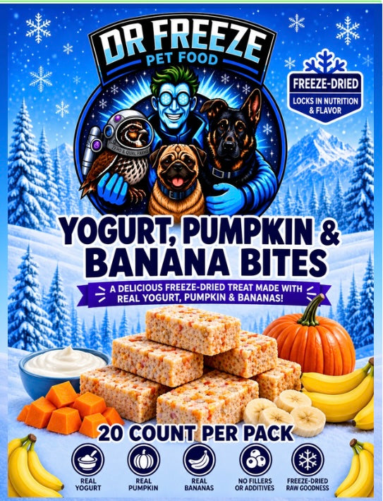 DR Freeze Yogurt Pumpkin Banana Bites Dr Freeze Foods and Snacks