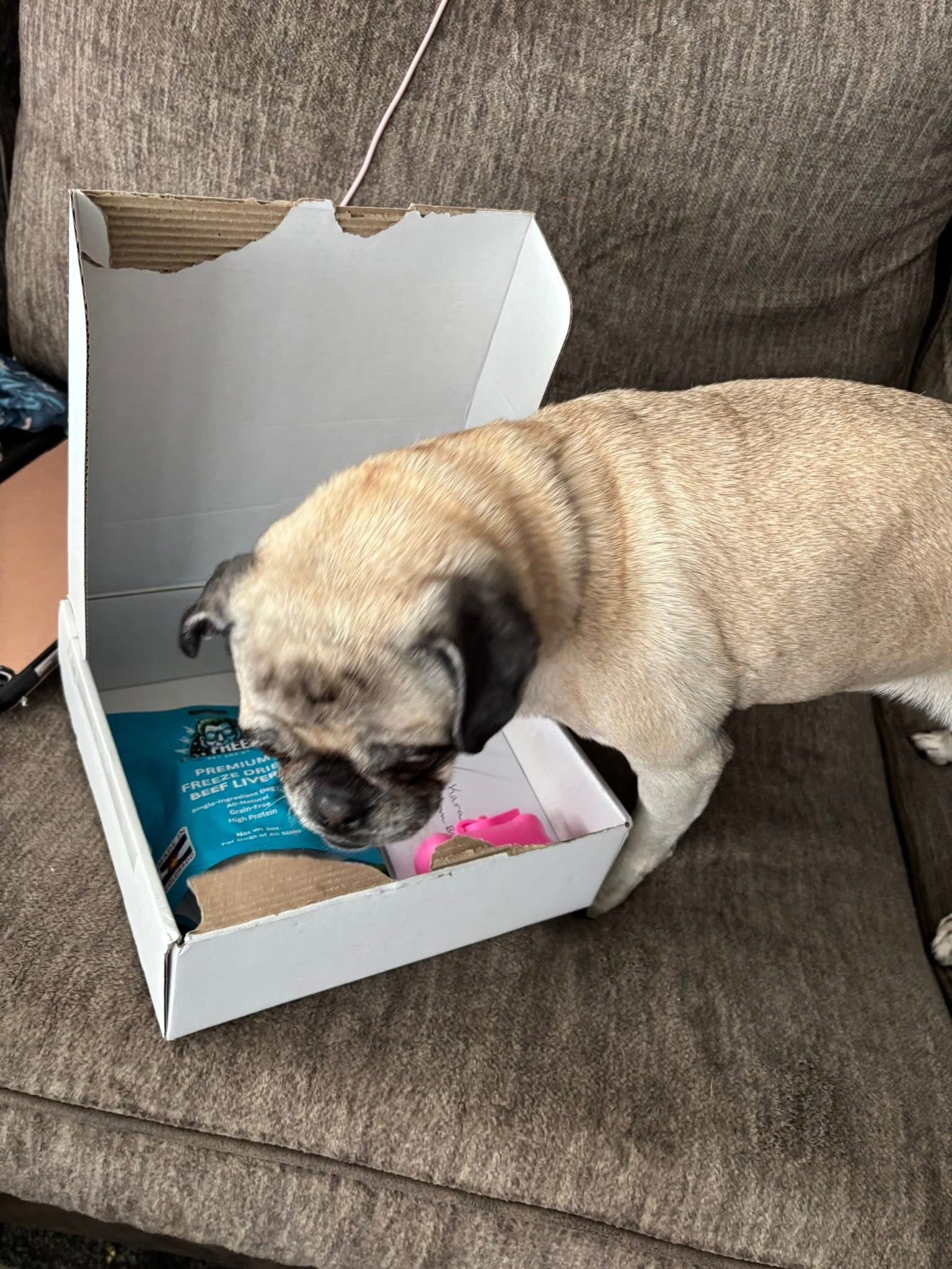 DR Freeze Birthday PUP Box Dr Freeze Foods and Snacks