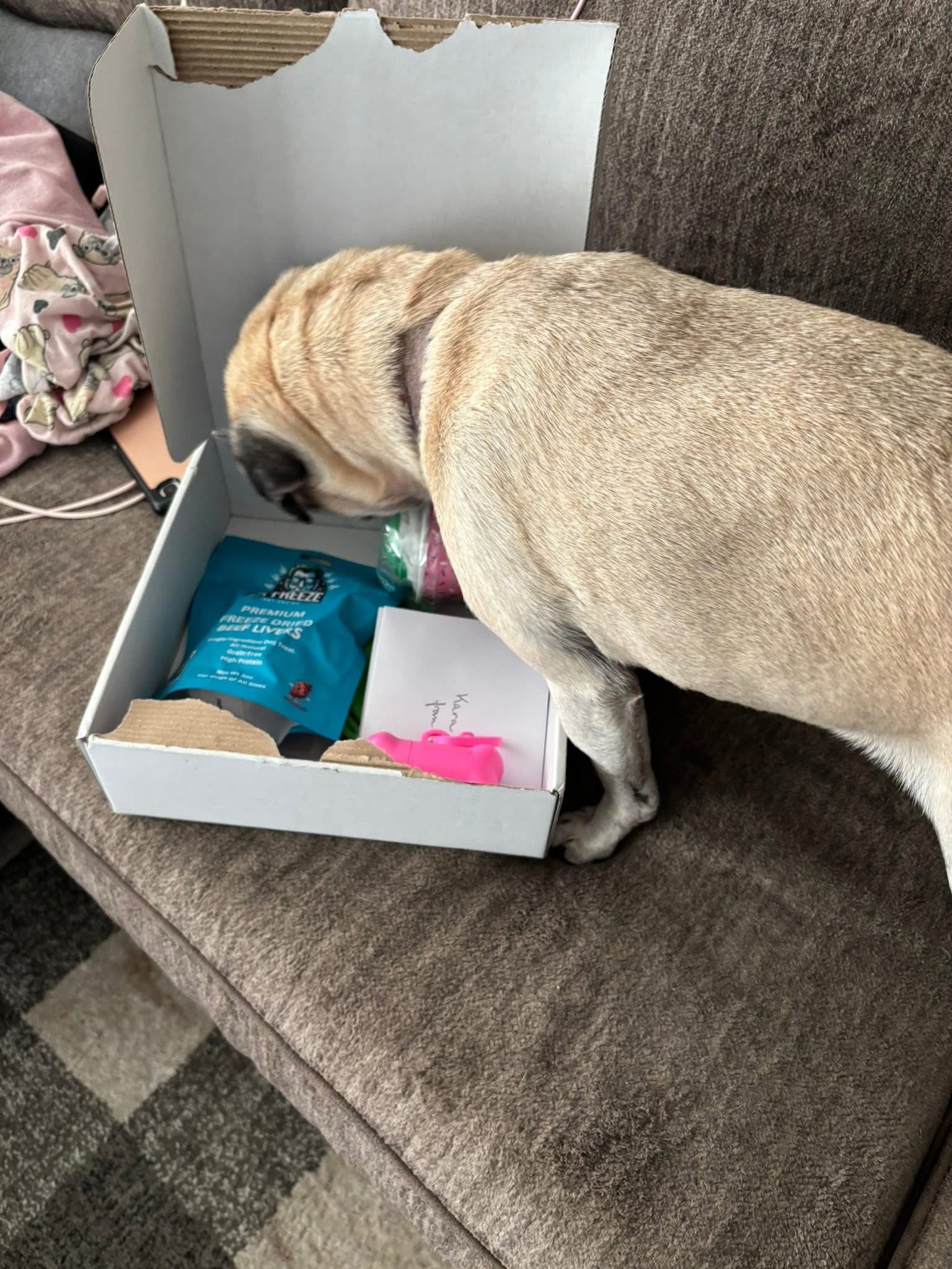 DR Freeze Birthday PUP Box Dr Freeze Foods and Snacks