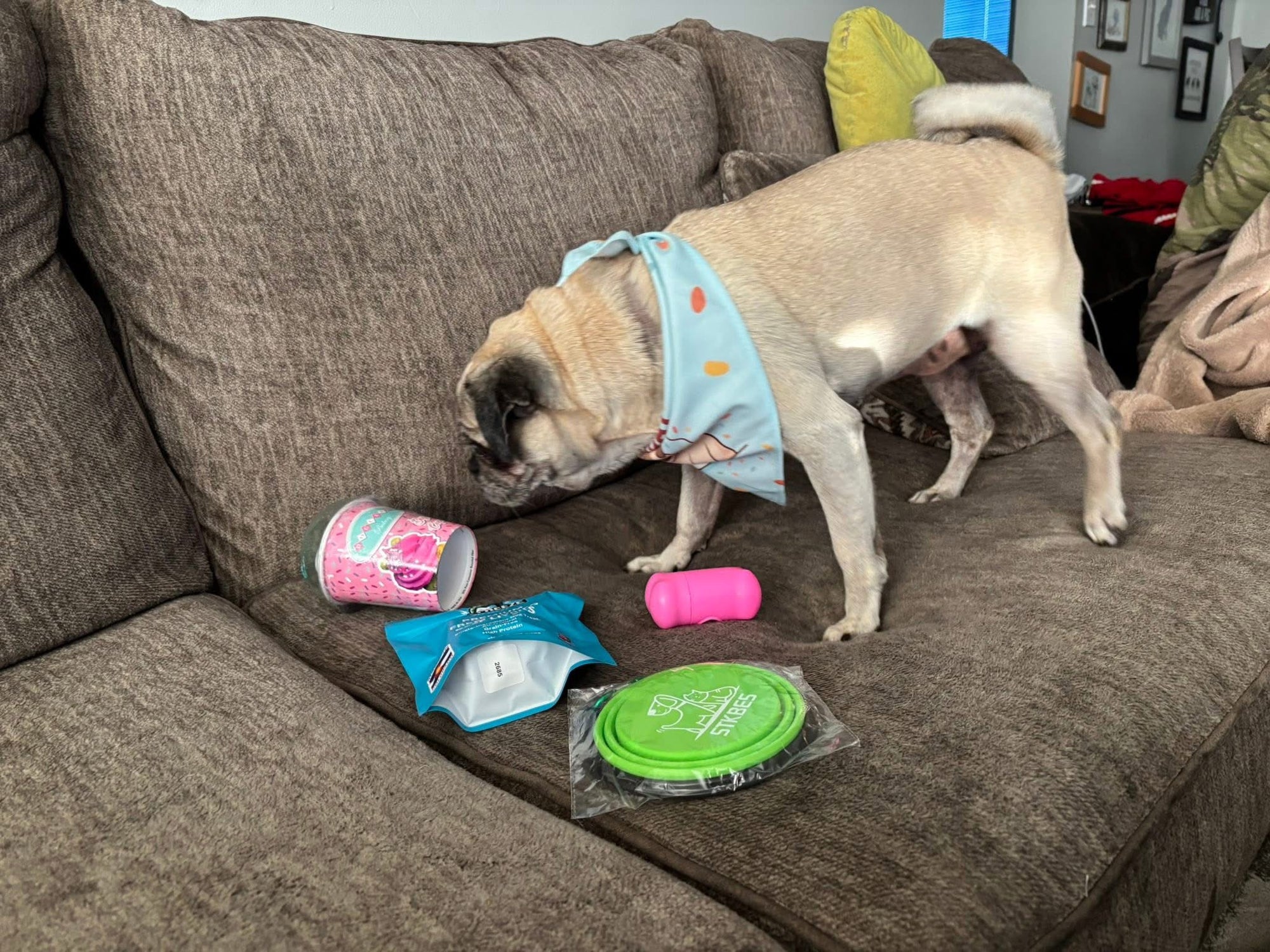 DR Freeze Birthday PUP Box Dr Freeze Foods and Snacks