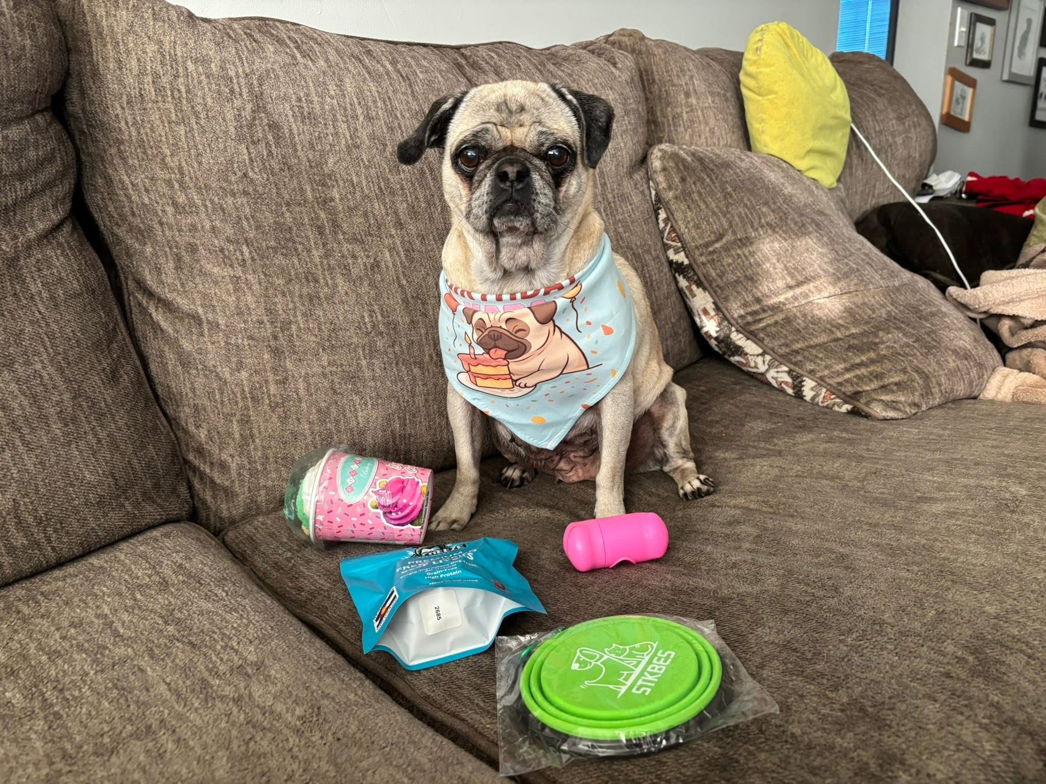 DR Freeze Birthday PUP Box Dr Freeze Foods and Snacks