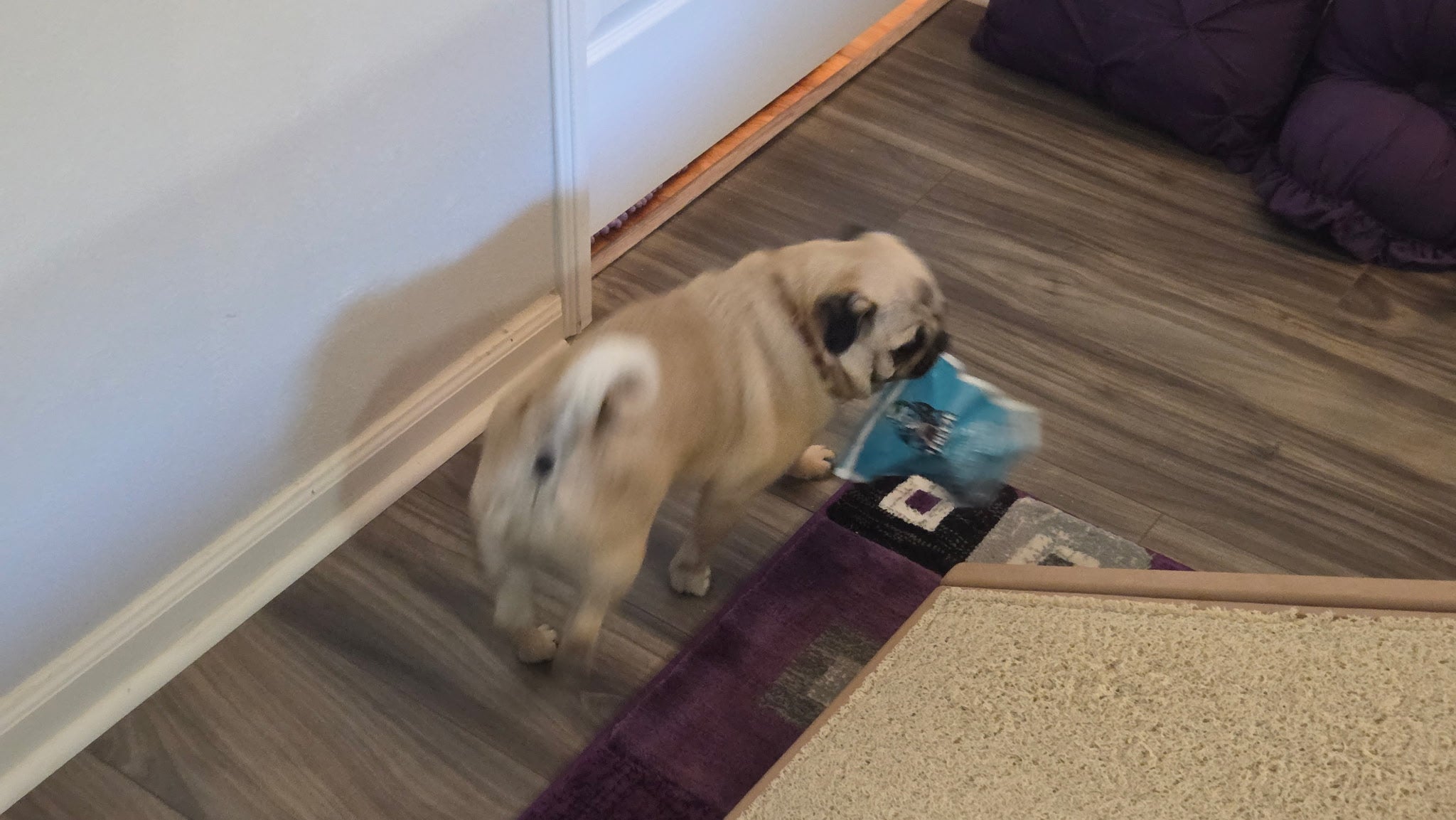 Freeze Dried Chicken Liver Pet Treats Dr Freeze Foods and Snacks