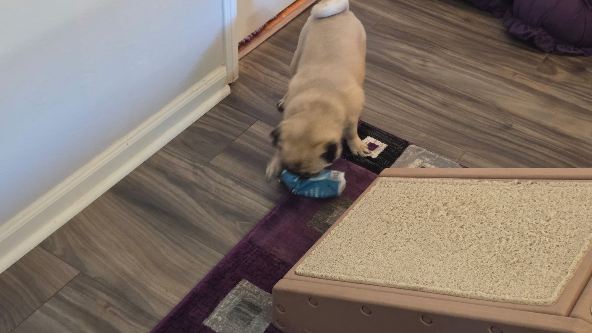 Freeze Dried Chicken Liver Pet Treats Dr Freeze Foods and Snacks