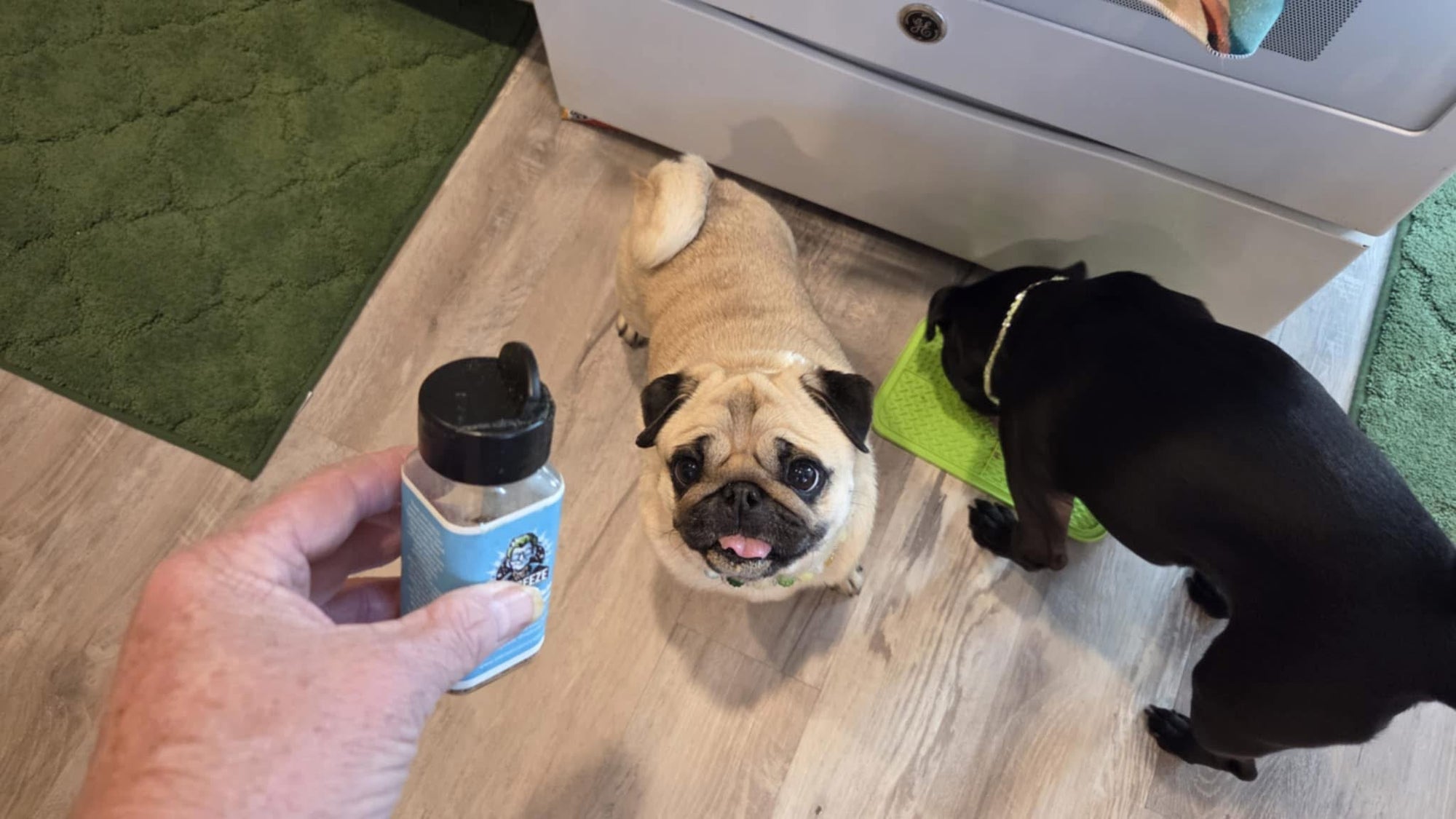 Liver Sprinkles - Food Enhancer with Lick Mat included. Two flavors. Beef and Chicken Dr Freeze Foods and Snacks