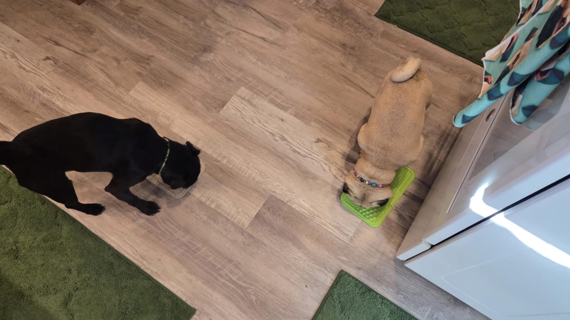 Liver Sprinkles - Food Enhancer with Lick Mat included. Two flavors. Beef and Chicken Dr Freeze Foods and Snacks