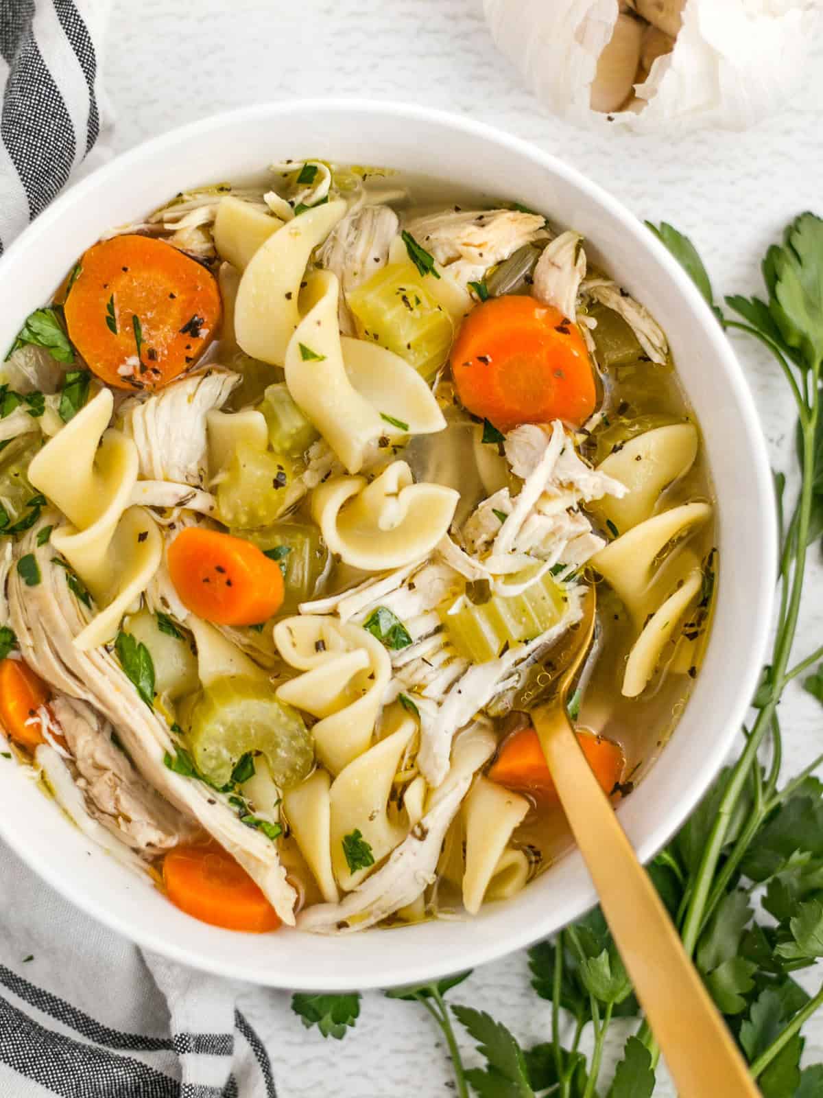 Chicken Noodle Soup w Vegetables