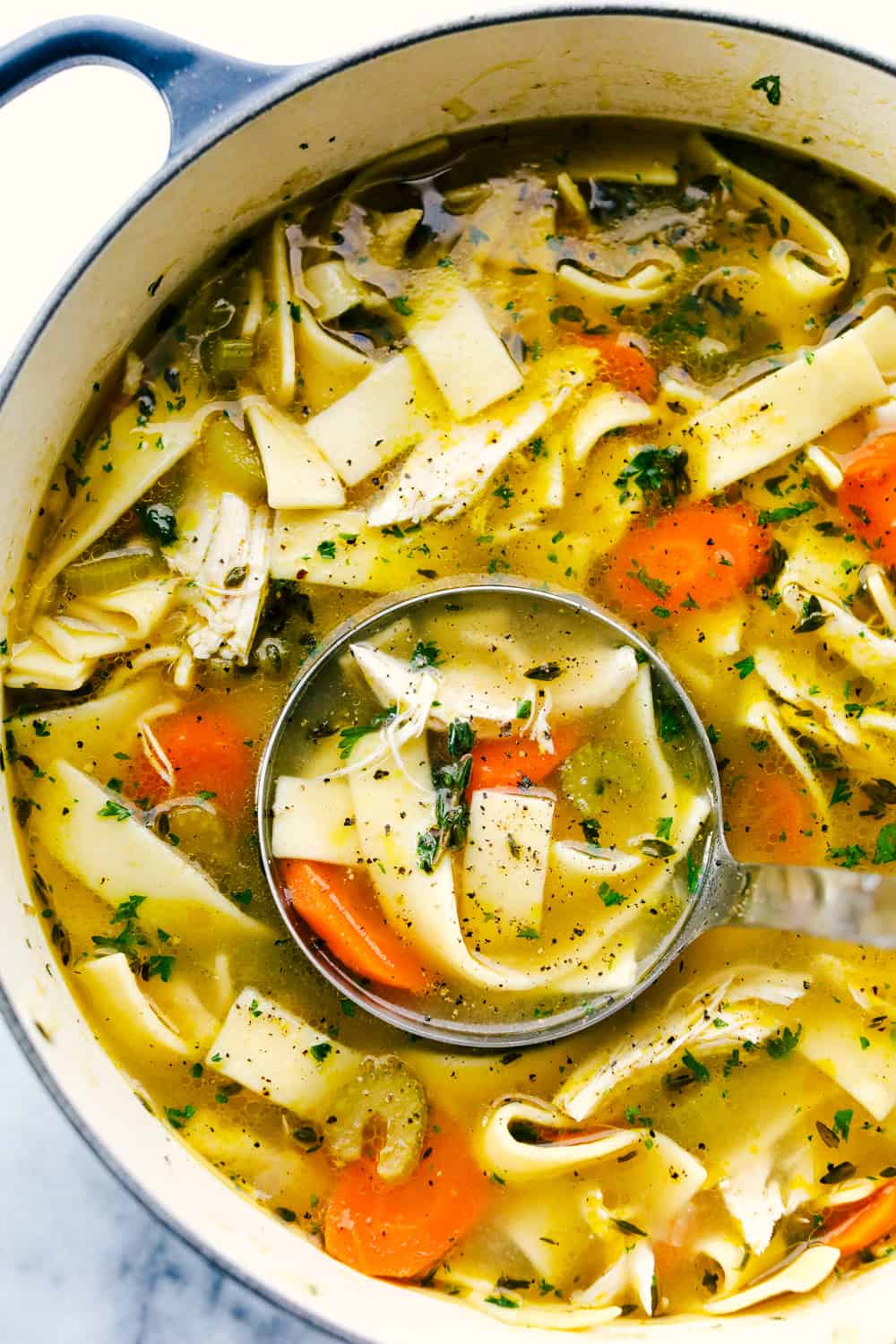 Chicken Noodle Soup w Vegetables