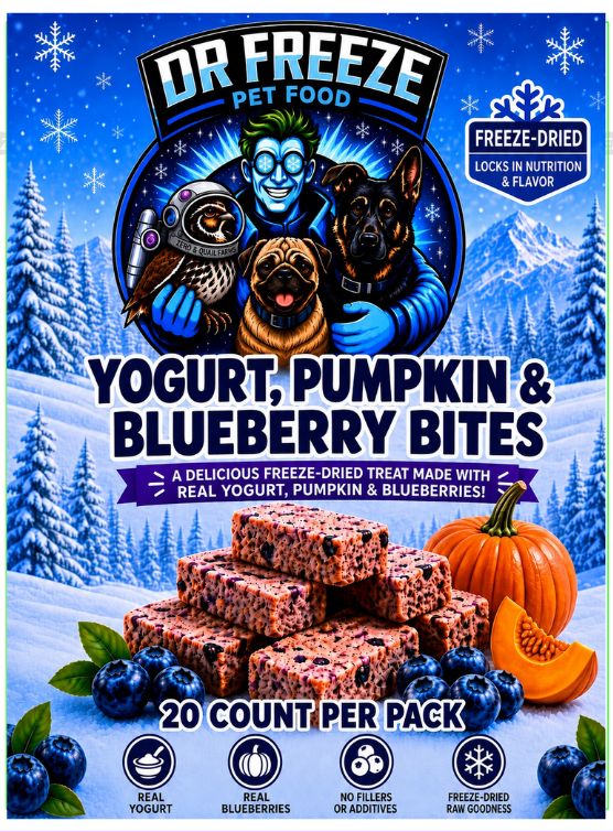 DR Freeze Yogurt Pumpkin Blueberry Bites Dr Freeze Foods and Snacks